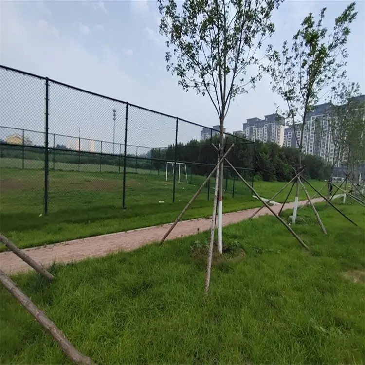 广东足球场外围防护网